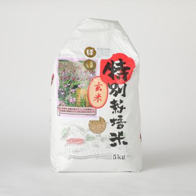 ふるさと納税 臼杵市 【令和7年度産】こだわり農法の「れんげ米」玄米(5kg) |  | 01