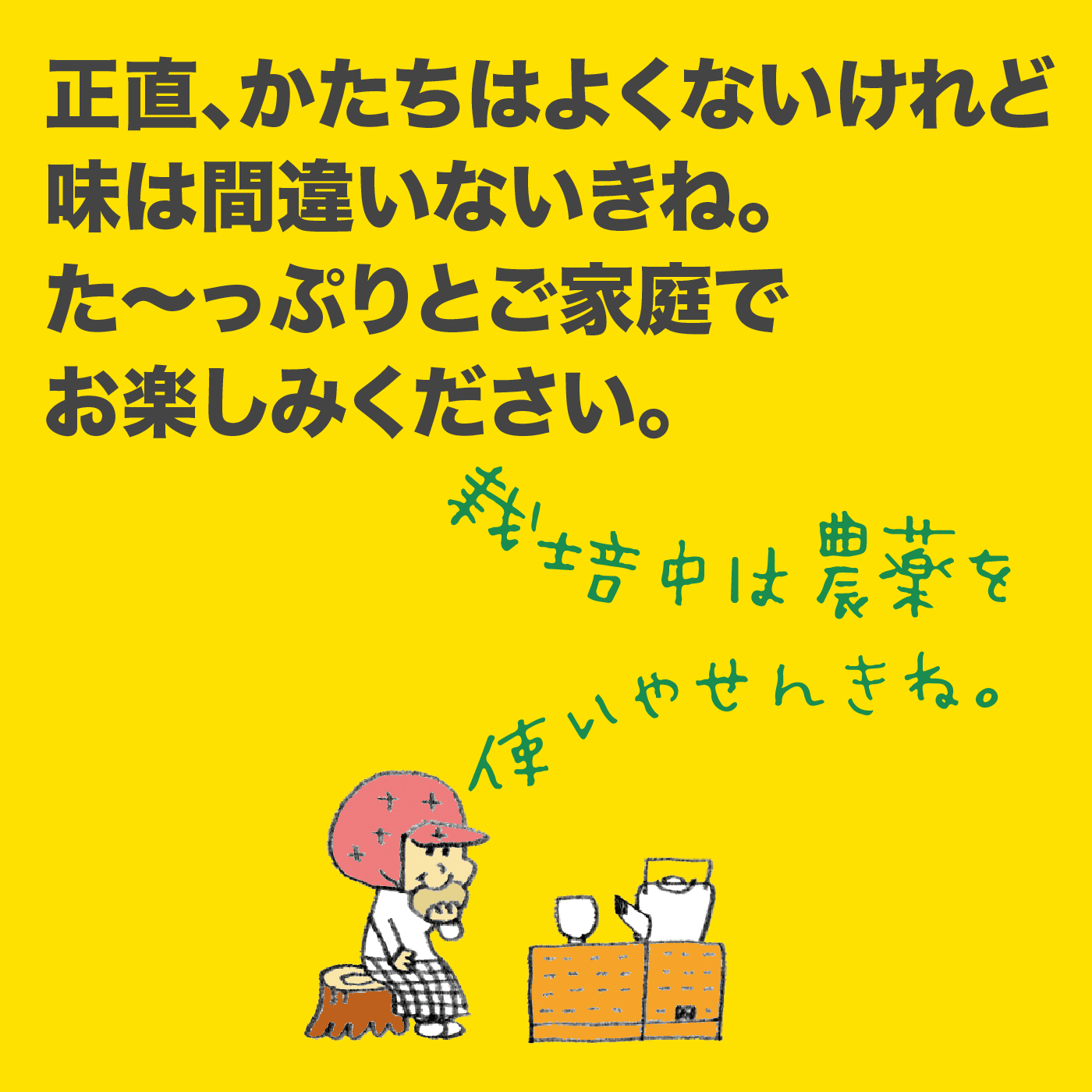 【2026年発送】岡林農園の(家庭用)土佐文旦(約5kg/8～12玉)  栽培期間中 農薬不使用