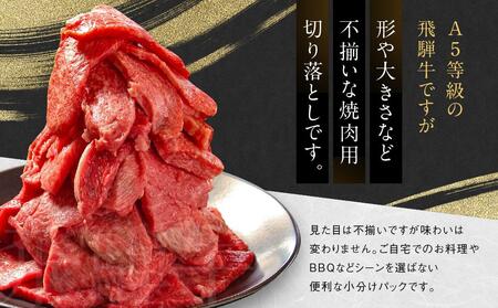 訳あり A5等級 飛騨牛 焼肉 切り落とし1200g |牛肉 黒毛和牛 BBQ 肉料理 ブランド牛 不揃い 株式会社岩ト屋 HF041【飛騨牛 牛肉 和牛 飛騨牛 牛肉 和牛 飛騨牛 牛肉 和牛 国産