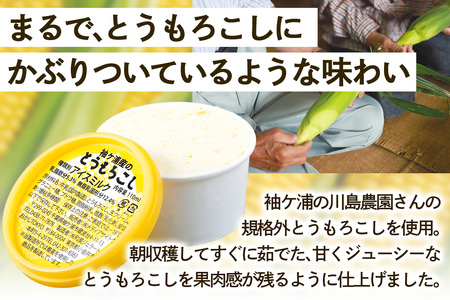 朝採れとうもろこしと完熟メロンのアイス＆シャーベット 8個セット アイス シャーベット スイーツ メロン トウモロコシ [0725]