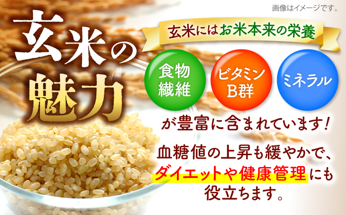 特別栽培米コシヒカリ 真空パック玄米20kg（5kg×4袋） お米 こしひかり ご飯 コシヒカリ おこめ 三次市/小川モータース [APCH008]