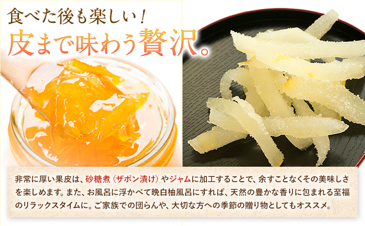 先行予約 晩白柚 約3kg 株式会社エフビーネット《12月上旬-1月下旬頃出荷》熊本県 氷川町 果物 フルーツ 熊本県産 ジューシー ばんぺいゆ バンペイユ---hkw_efn_5_3kg---
