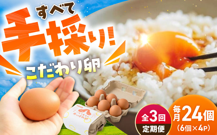【3回定期便】いとう君ちのあっぱれ卵 24個（6個×4パック）ギフトBOX /いとう養鶏場 [UAQ009] 卵 たまご 鶏卵