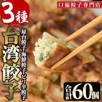 ふるさと納税 門川町 【餃子専門店　口福】台湾餃子セット(屋台餃子20個×1・海鮮餃子20個×1・ピリ辛餃子20個×1)