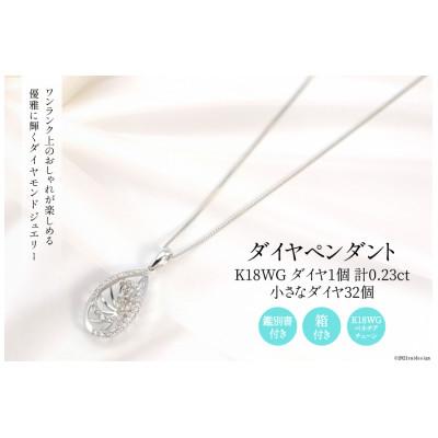 ふるさと納税 韮崎市 K18WG 計0.23ct 1個のダイヤと32個の小さなダイヤ付ペンダント Islauth19