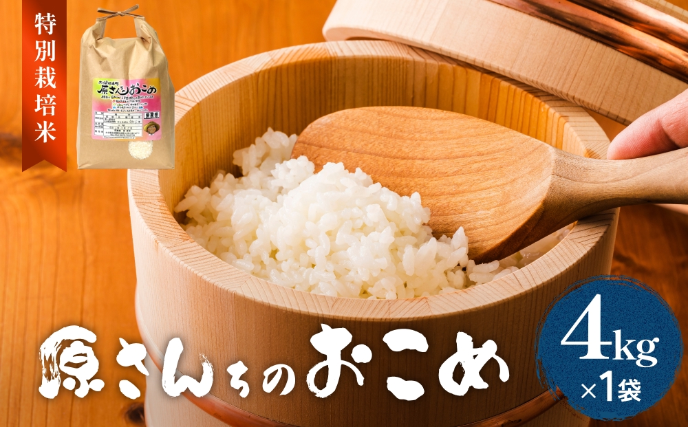 【令和8年産米先行受付】原さんちのお米 白米 ４kg ひとめ
