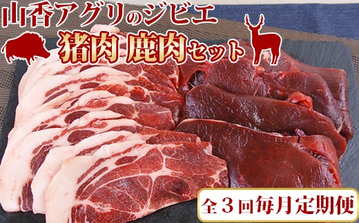 ＜定期便(毎月)全3回＞ 猪 鹿 ジビエ 焼肉 セット(猪肉 400g、鹿肉 300g)【山香アグリ】 九州 大分県 天然 ジビエ肉 食べ比べ スライス ＜145-801＞