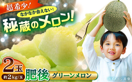 数量限定 肥後グリーメロン2玉計約4kg メロンめろん AYAC045