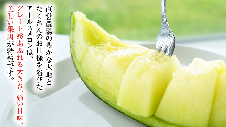 【2025年8月下旬発送開始】 季節 限定 ！ 甘さ満点 アールス メロン 3玉 入箱 果物 フルーツ 農家直送 産直 青肉メロン 特産品 マスクメロン メロン くだもの 茨城 [BC044sa]