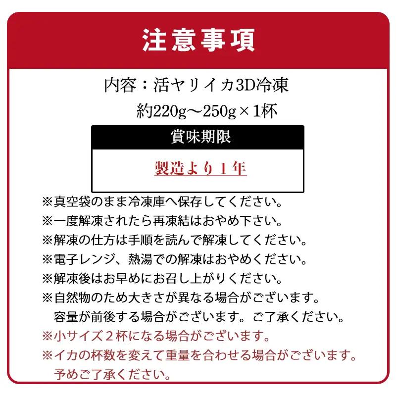 『先行予約』唐津呼子産いか活造り 1杯(約220g～250g) 急速冷凍 新鮮そのまま食卓へ！※水揚げあり次第7月以降順次発送させていただきます。