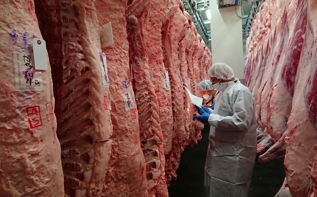 【5ヶ月定期便】博多和牛100％ 贅沢本格手ごねハンバーグ 約150g×10個 合計1.5kg 定期 合計50個