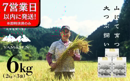 【令和6年産米】すがたらいす 山仙 (いのちの壱)  2kg×3袋（6kg）すがたらいす 6キロ 下呂市金山産 2024年産 お米 精米 米 いのちのいち やません