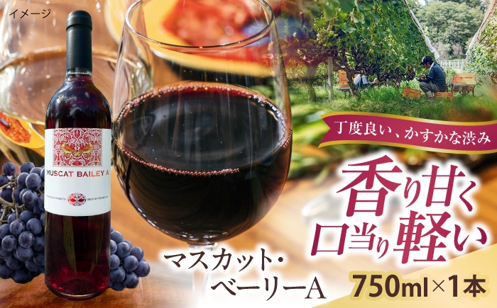 
                  マスカット・ベーリーA 1本 750ml 赤ワイン 国産 島根県雲南市/有限会社奥出雲葡萄園 [AICS124]
                