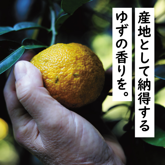 ゆず 少しこだわりセット１  お中元 お歳暮  柚子 調味料 フルーツジュース ドリンク 詰め合わせ ギフト 贈答用 のし 高知県 馬路村【507】