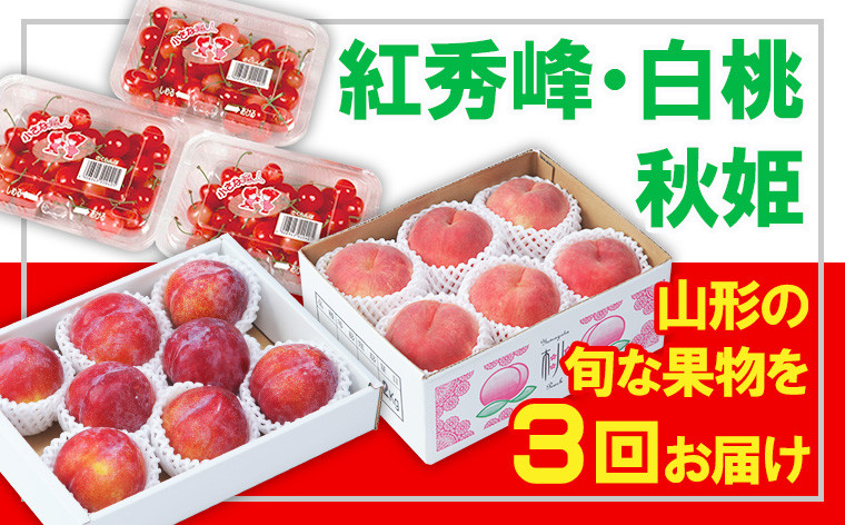 
            【定期便3回】☆フルーツ王国山形☆紅秀峰・白桃・秋姫 【令和7年産先行予約】FS23-835 くだもの 果物 フルーツ 山形 山形県 山形市 2025年産
          