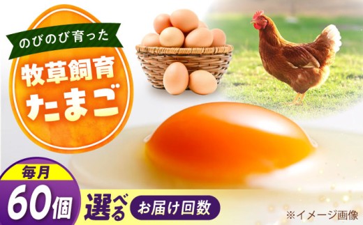 天心山 たまご 60個 【回数が選べる定期便】【全12回定期便】卵 たまご 高級 食品 たまごかけご飯 卵かけご飯 卵焼き 生卵 濃厚 ケーキ お菓子 づくり ランキング 上位 人気 おすすめ 定期便  ふるさと納税 20個 TKG 産地直送 新鮮 鶏卵 平飼い 広島 福山 アグリヒーロー 朝食 産直 送料無料 広島 福山 広島県福山市/天心山ファーム [BABW040]