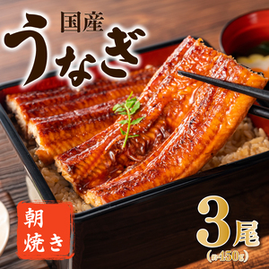 うなぎ 国産 蒲焼 3尾 | うなぎ