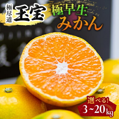 【ふるさと納税】【愛媛名産】極早生みかん 3kg/5kg/10kg/20kg_ みかん ミカン 極早生 極早生みかん 玉宝 極尽道 愛媛のみかん S M L 小玉 大玉 サイズ混合 柑橘 果物 フルーツ 美味しい 甘い 愛媛 愛媛県 八幡浜市 人気 送料無料 【G1510670】