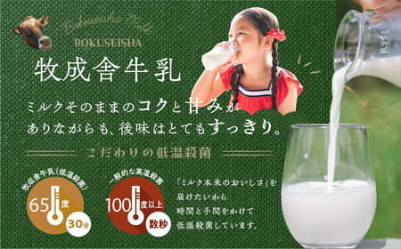 毎週定期便 8回 牛乳定期便 8回定期便 牧成舎のこだわり牛乳 定期便 