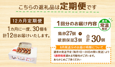 【12回定期便】卵 鶏卵 霧島山麓育ち こだわり卵『康卵』 30個入り×12回 合計360個 卵 たまご 玉子 タマゴ 生卵 鶏卵 玉子焼き 卵焼き ゆで卵 ゆでたまご エッグ TKG 卵かけご飯 た