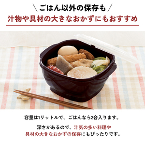 新生活 真空おひつ & ミニフライパン セット