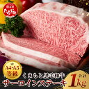 【ふるさと納税】≪ A4～ A5 等級 ≫ くまもと黒毛和牛サーロインステーキセット 1kg ( 250g×4枚 ) ブランド 牛肉 肉 サーロイン ステーキ 記念日 4人分 ご馳走 ギフト 贈答 ご褒美 和牛 国産 熊本県 上級 上質 お肉 冷凍 お取り寄せ グルメ 九州産 熊本県産 送料無料