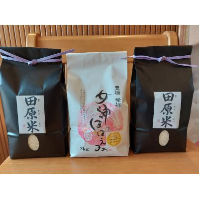 ふるさと納税 田原市 渥美半島米セット