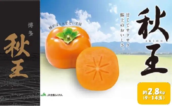 柿 秋王 あきおう 約2.8kg 9～14玉 果物 柿