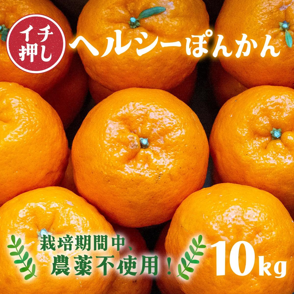 【先行予約】ヘルシーぽんかん10kg 柑橘 ジューシー F139