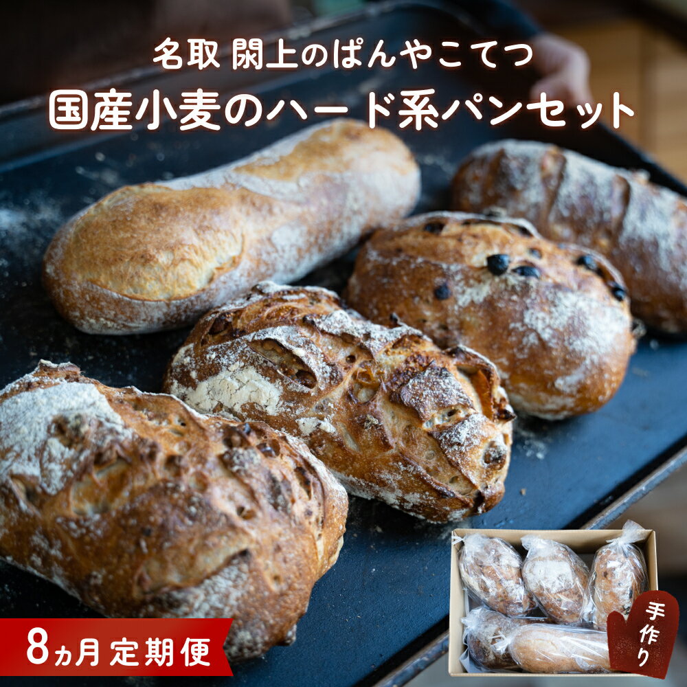 【ふるさと納税】【8ヵ月定期便】名取 閖上 の ぱんやこてつ 手作り 国産小麦のハード系パンセット