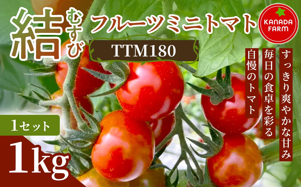 
                  《先行予約》結（むすび）フルーツミニトマト（TTM180）1kg 1セット 3セット 定期便 甘い野菜 デザート感覚 おやつ スイーツ感覚 サラダ用 そのまま食べる 旬 家庭用 贈り物 日々の食卓 お取り寄せ 産地直送 愛知県 豊橋市
                