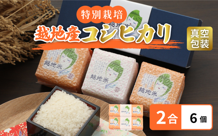 米 越地（こいち）産 特別栽培米 コシヒカリ 令和6年産 真空包装 2合 × 6個【キャンプ 保存 備蓄 防災】[m24-a004]