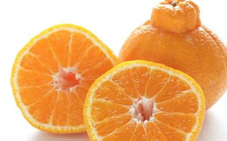 【濃厚】有田産不知火約4kg（2L～5Lサイズ混合）★2024年2月より順次発送【TM38】