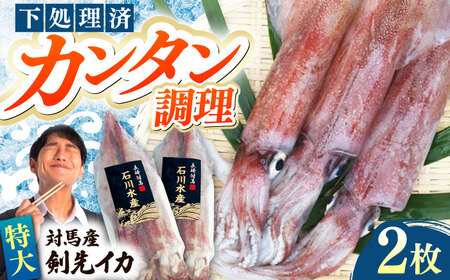 【特大】 剣先 イカ （ 生 冷凍 ）2枚 [WAB027] 剣先イカ冷凍いか