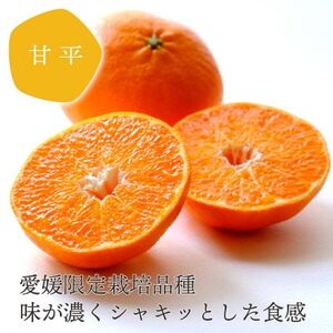 【発送月固定定期便】愛媛みかん 大玉8kg×甘平 訳あり3kg 定期便【G25-258】全2回【4071211】
