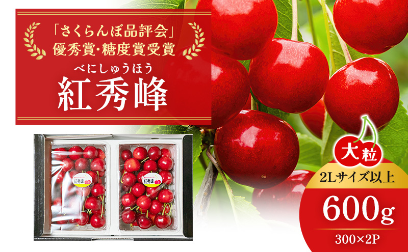 北海道 仁木町産 ジャンボサイズ さくらんぼ 【 紅秀峰 】2Lサイズ以上 300g×2パック 計600g 　サクランボ チェリー フルーツ 果物 果物類 ギフト 仁木町 仁木 [嶋田茂農園匠]