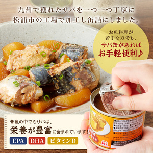 缶詰 サバ缶（味噌）12缶セット 缶詰 鯖 さば【B2-110】