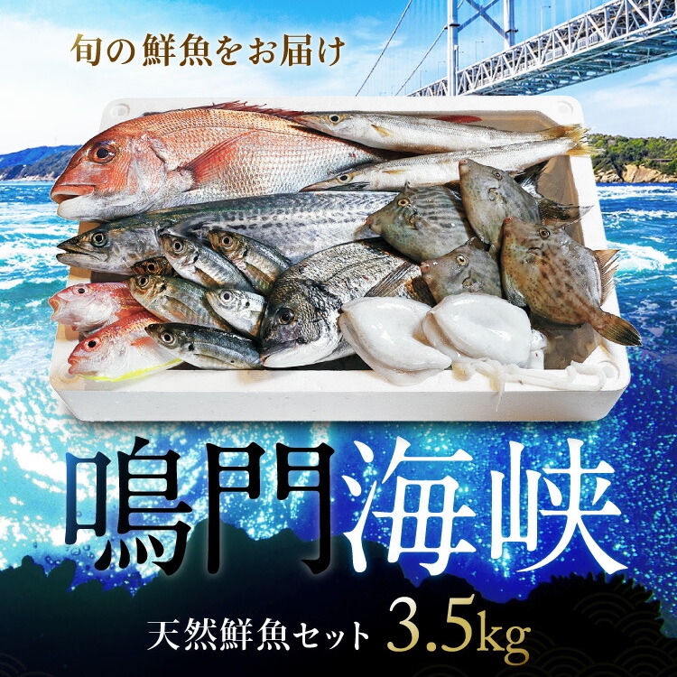 鳴門海峡冷凍鮮魚セット 3.5kg （ 4～5種 ） 訳あり 鮮魚 魚 冷凍 魚介類 海鮮 水産 詰め合わせ 詰合せ お魚 セット 下処理 小分け 鮮魚セット 魚介類 魚種おまかせ 鳴門わかめが必ず入る 訳ありセット