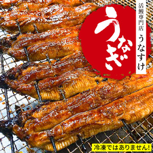 国産うなぎ蒲焼き (4匹) [0853]