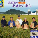 【ふるさと納税】【玄米】令和6年産 秋田県産 あきたこまち 環境保全米 30kg (30kg×1袋)