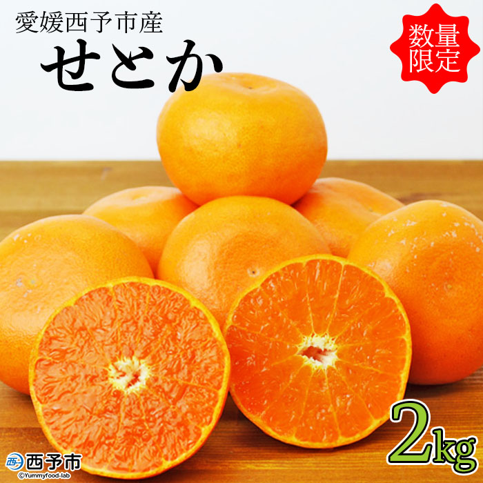 先行予約 数量限定＜愛媛西予市産 せとか 約2kg＞ 果物 くだもの 果実 フルーツ 柑橘 柑橘類 ミカン みかん オレンジ 特産品 糖度 大きさ不揃い 渡江から一歩を踏み出す会 食べて応援 愛媛県 西予市 【常温】『2025年3月上旬〜3月下旬迄に順次出荷予定』