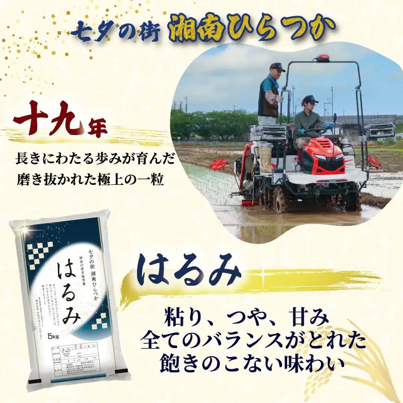 【 定期便3か月 】 精米 令和7年産 はるみ 5kg 特Aランク 米