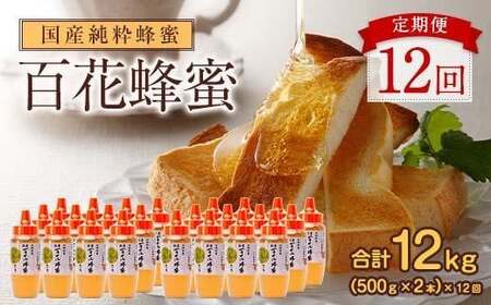 【全12回】 定期便 かの蜂 国産 百花蜂蜜 合計12kg（とんがり容器500gを毎月2本お届け）　024-T006