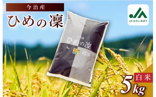 【令和6年産】【決済から14日前後で発送】今治産 米（ひめの凜）5kg【VB01580】米 お米 コメ おこめ 白米 精米 ごはん ご飯 ひめの凜 愛媛県産 今治産