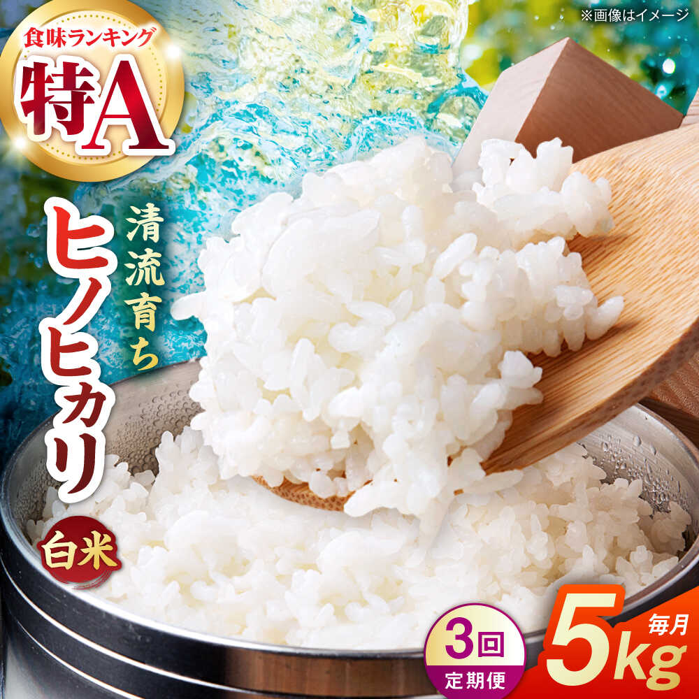 【ふるさと納税】【先行予約】【3回定期便】山鹿市産 ヒノヒカリ 白米 5kg 【奥村果実園】[ZFK012]