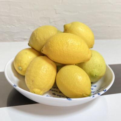 ふるさと納税 水俣市 国産レモン A品1kg(県認証特別栽培) |  | 02