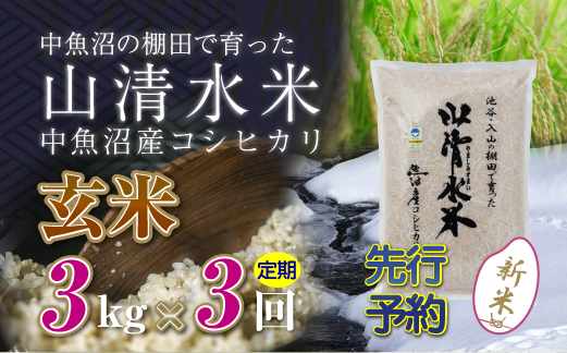 【先行新米予約】【定期便／全3回】玄米3kg 新潟県魚沼産コシヒカリ「山清水米」 