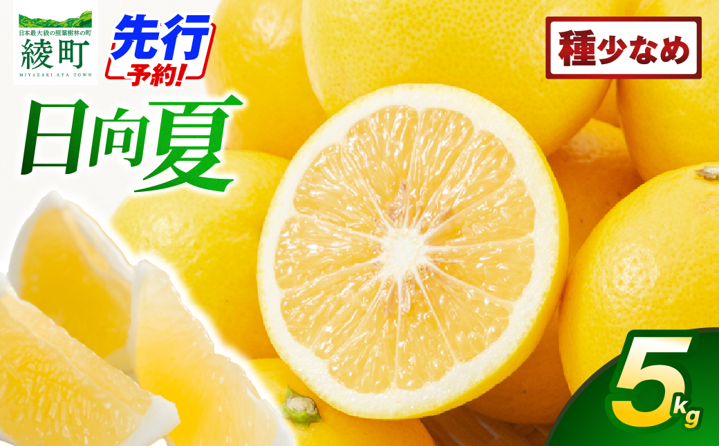 【先行受付】初春の旬「日向夏」種が少ない 5kg 果物 フルーツ くだもの 柑橘 フルーツサンド おやつ スイーツ デザート ジャム おすすめ ギフト 贈り物 贈答 プレゼント おすそ分け お返し 宮崎県 綾町 送料無料【JA綾町】_A0114-2431