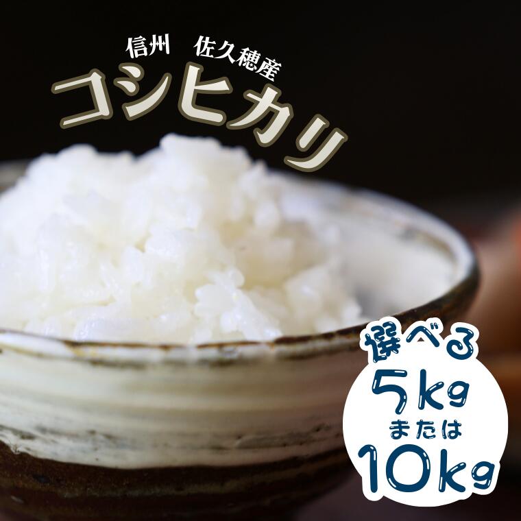 【ふるさと納税】令和7年産　炊きあがりのつやと香りが良く、うま味も強い　コシヒカリ　白米　5kg～10kg　佐久穂とさや農園 [ST-115-01]