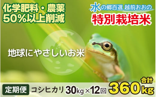 【令和6年産 新米】【12ヶ月定期便】こしひかり 30kg × 12回 計 360kg【白米】